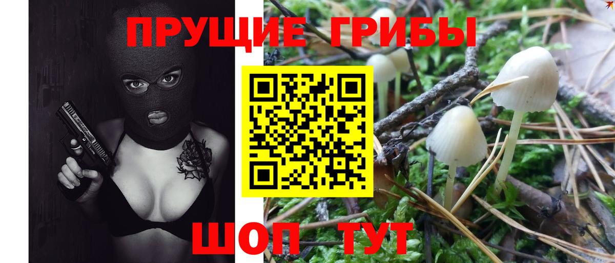 Галлюциногенные грибы мицелий Гуково